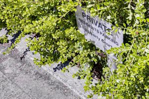 Photo 19- click for photo gallery